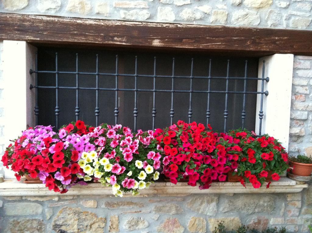 Agriturismo La Cantina Ascoli Piceno Ngoại thất bức ảnh